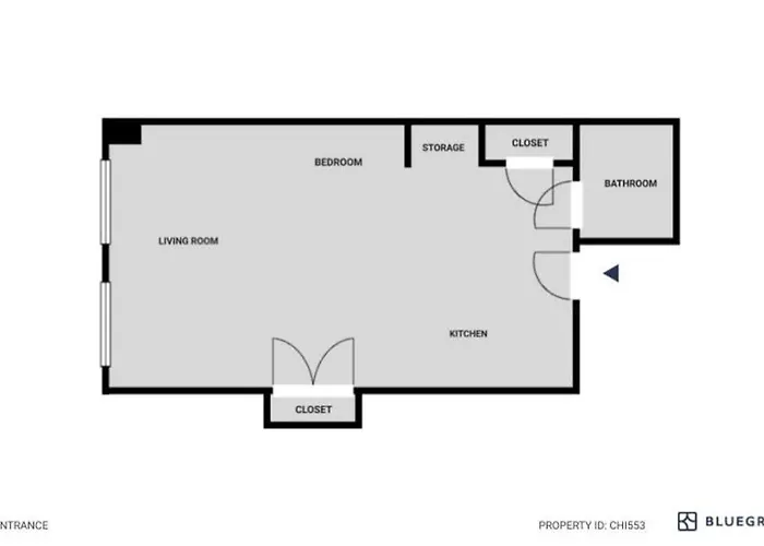 Gold Coast W Doorman Gym 2 Blocks To L Chi-553 Apartment *